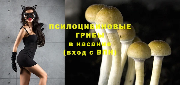 марки lsd Каменногорск
