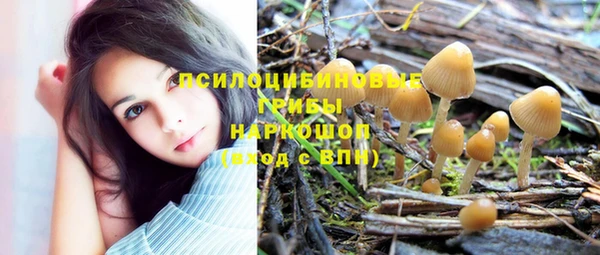 героин Каменка