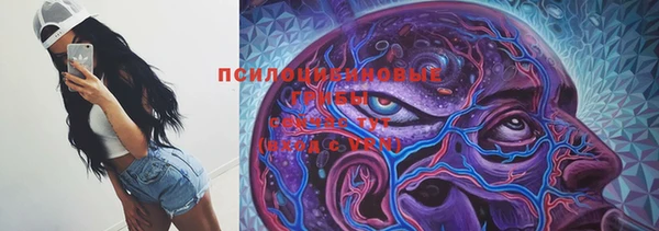 героин Каменка